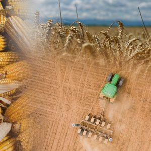 Κλιματική αλλαγή: Η επισιτιστική ανασφάλεια μάς χτυπάει την πόρτα