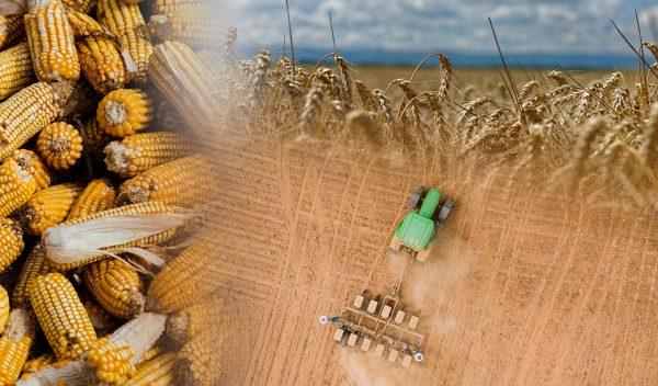 Κλιματική αλλαγή: Η επισιτιστική ανασφάλεια μάς χτυπάει την πόρτα