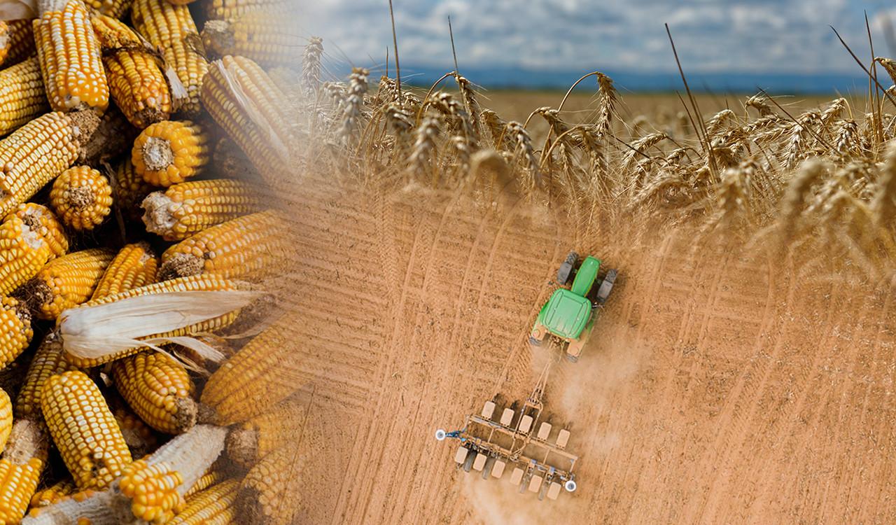 Κλιματική αλλαγή: Η επισιτιστική ανασφάλεια μάς χτυπάει την πόρτα