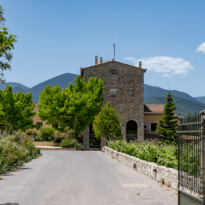 Κρασί: Εξαγορές, ζημιές και η υπόθεση Σπυρόπουλου – Γιατί τα μισά οινοποιεία είναι προς πώληση