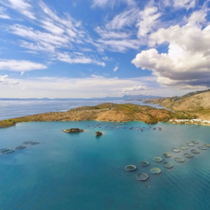 Avramar: Τις δανειακές της υποχρεώσεις αποκτά η Cooke