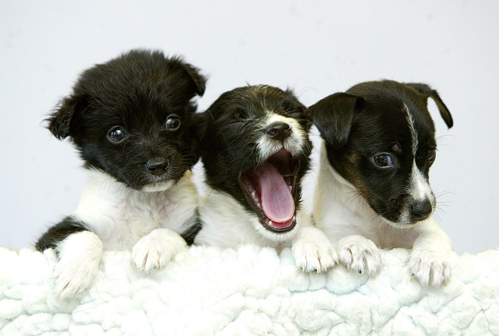 Βρετανία: Πλαφόν στις τιμές των συνταγών από την αρχή ανταγωνισμού