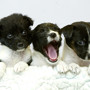 Βρετανία: Πλαφόν στις τιμές των συνταγών από την αρχή ανταγωνισμού