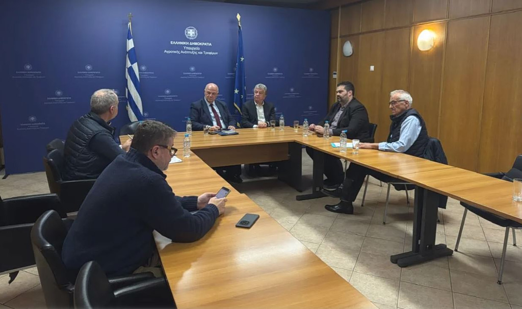 Κρήτη: Συνάντηση για τα προβλήματα στην ελαιοκαλλιέργεια