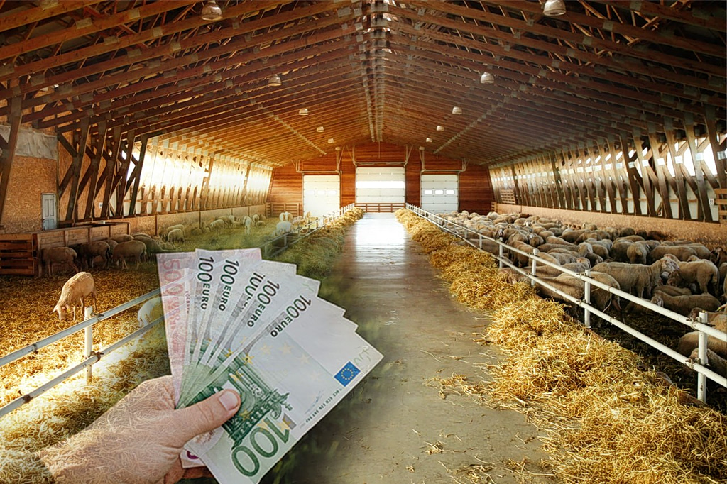 Κτηνοτροφία: Μπροστά στην τέλεια καταιγίδα ενόψει Πάσχα – Φόβοι για ελλείψεις [γραφήματα]