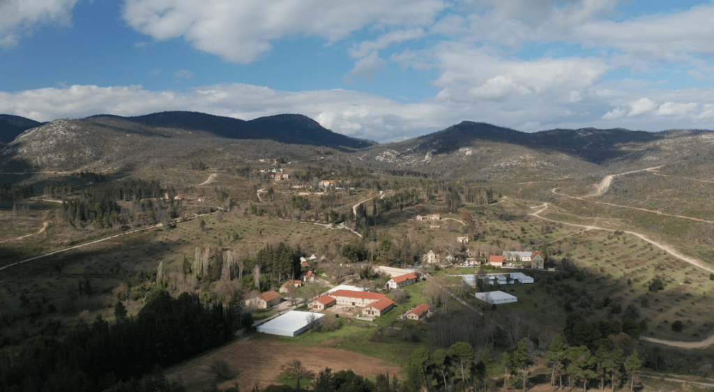 Υπερταμείο: Πέντε ενδιαφερόμενοι για το πρώην βασιλικό κτήμα στο Τατόϊ