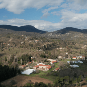 Υπερταμείο: Πέντε ενδιαφερόμενοι για το πρώην βασιλικό κτήμα στο Τατόϊ