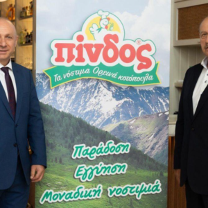 ΠΙΝΔΟΣ: Πού θα επενδύσει 70 εκατ. ευρώ η ΠΙΝΔΟΣ