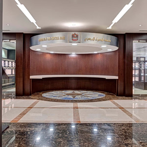 Jefferies: Τα ΗΑΕ διοχέτευσαν ρευστότητα 8 δισ. στις τράπεζες