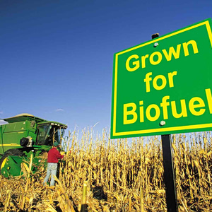 Βιοκαύσιμα: Κούρσα για αγορά βιοντίζελ καθώς οι τιμές πέφτουν κάτω από το ντίζελ