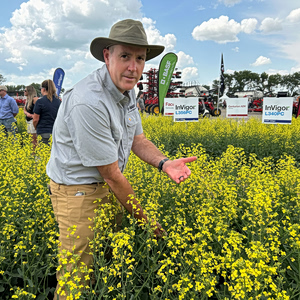 Καναδάς: Η γενετικά τροποποιημένη μουστάρδα απειλεί τις εξαγωγές Dijon