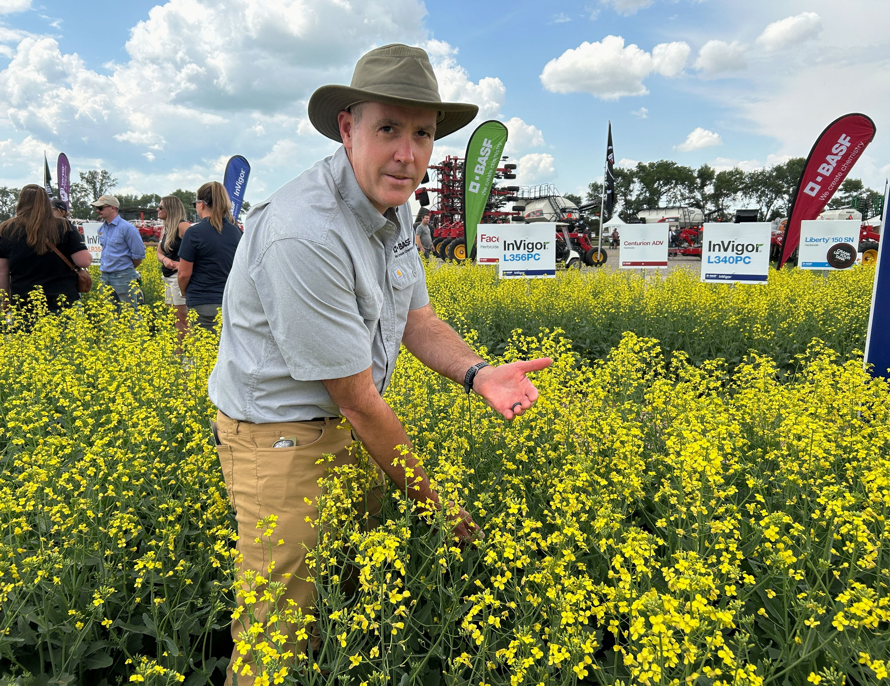 Καναδάς: Η γενετικά τροποποιημένη μουστάρδα απειλεί τις εξαγωγές Dijon