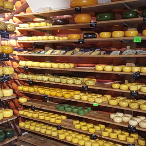 Αφθώδης πυρετός: Ενισχύσεις 8 εκατ. ευρώ για τους τυροκόμους της Λέσβου