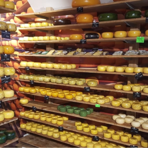 Αφθώδης πυρετός: Αποζημιώσεις έως 8 εκατ. ευρώ για τυροκομικές επιχειρήσεις στη Λέσβο