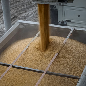 Σιτάρι: Ταύροι τα hedge funds για πρώτη φορά τα τελευταία 4 χρόνια