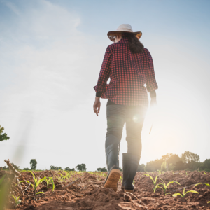 ΚΑΠ: Γεωργία γένους …αρσενικού – Εμπόδια στην προσέλκυση γυναικών [γραφήματα]
