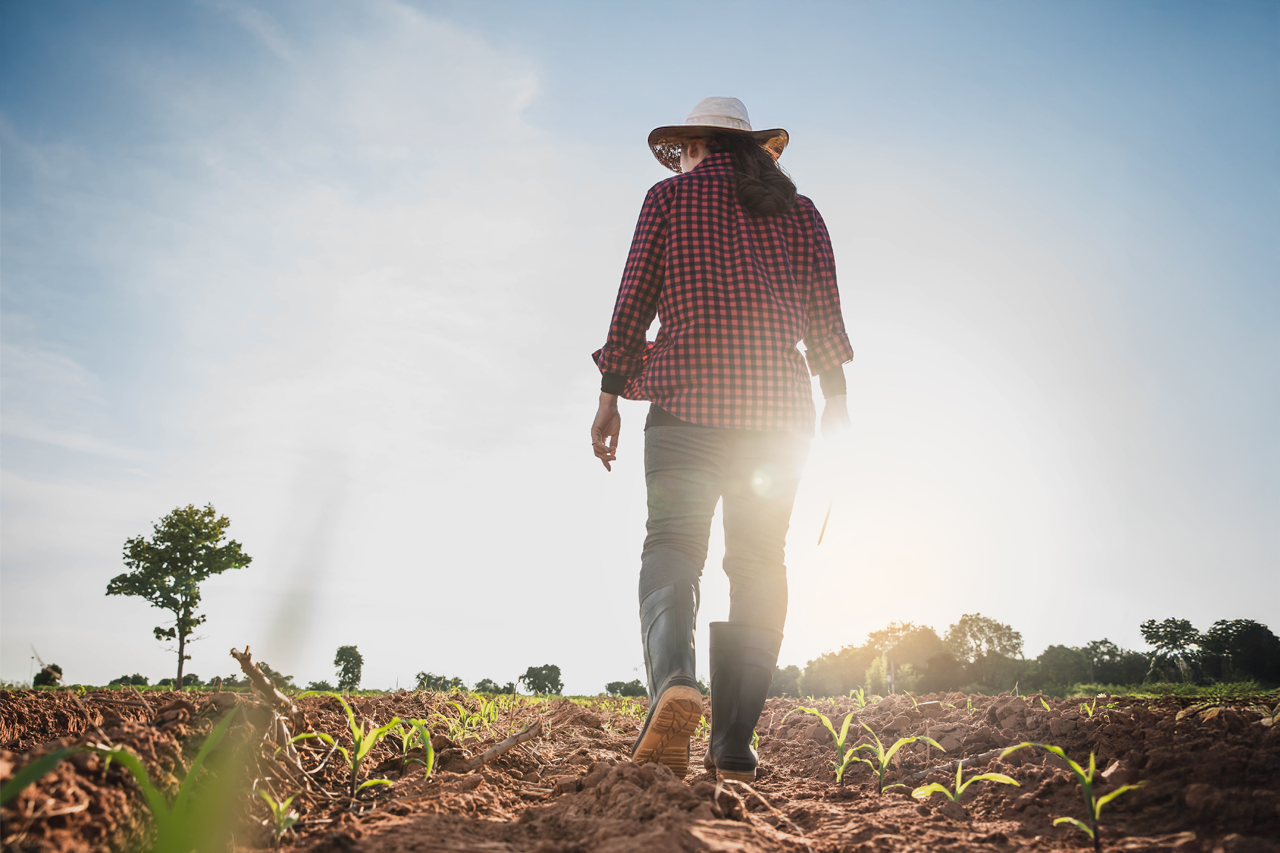 ΚΑΠ: Γεωργία γένους …αρσενικού – Εμπόδια στην προσέλκυση γυναικών [γραφήματα]