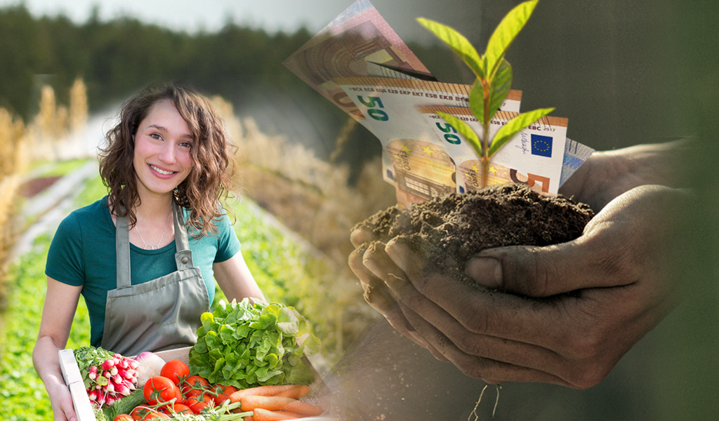 Ταμείο Μικροπιστώσεων: Δάνεια έως 25.000 ευρώ για γεωργικές εκμεταλλεύσεις και μεταποίηση