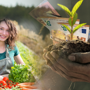 ΚΑΠ: Πώς αλλάζει το τοπίο των αγροτικών ενισχύσεων – Ριζικές αλλαγές