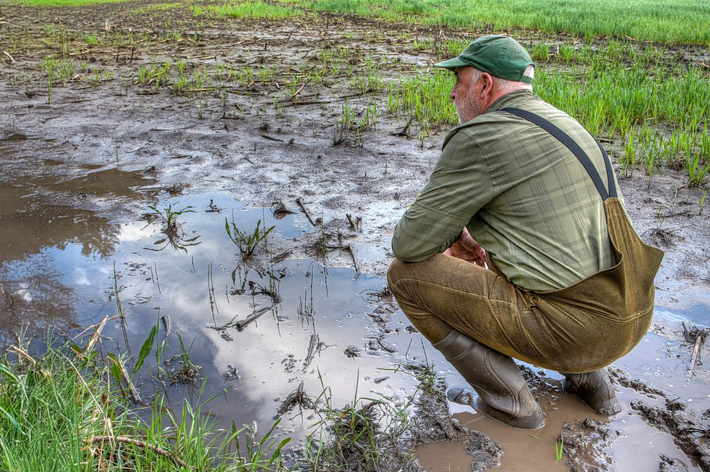 Γεωργία: Κενά στην ασφάλιση και τη διαχείριση κινδύνων στην παραγωγή – Η περίπτωση ΕΛΓΑ