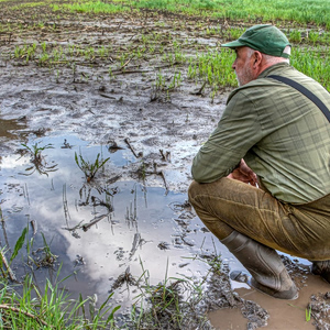 Γεωργία: Κενά στην ασφάλιση και τη διαχείριση κινδύνων στην παραγωγή – Η περίπτωση ΕΛΓΑ