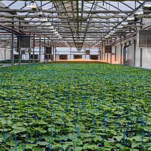 Αγροτικός Οίκος Σπύρου: Στα 15,015 εκατ. ευρώ ο τζίρος το 2025