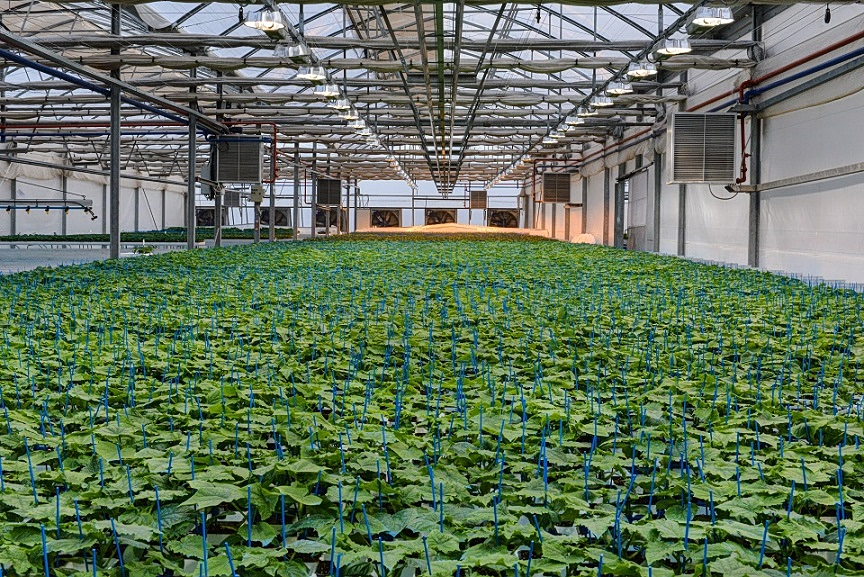 Αγροτικός Οίκος Σπύρου: Στα 15,015 εκατ. ευρώ ο τζίρος το 2025