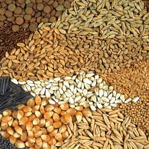 Επενδύσεις: Νέα μονάδα παραγωγής pet food στα Ιωάννινα