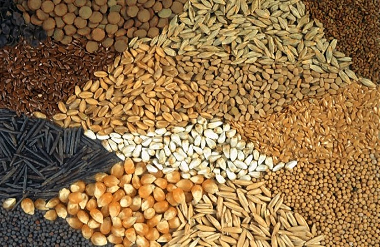 Επενδύσεις: Νέα μονάδα παραγωγής pet food στα Ιωάννινα