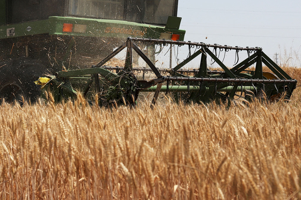 Record Food Stocks May Cushion Impact of El Niño Shock