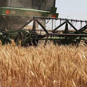 Record Food Stocks May Cushion Impact of El Niño Shock