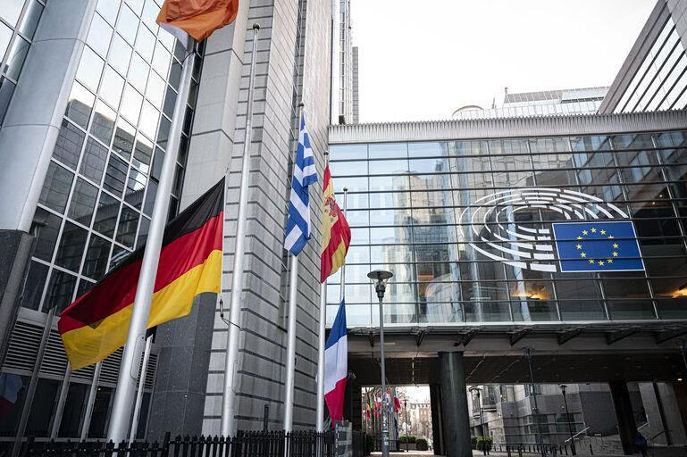 Το Ευρωπαϊκό Κοινοβούλιο απαγόρευσε την ονομασία «μπριζόλα λαχανικών»