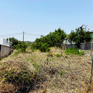 Καθαρισμός οικοπέδων: Παράταση έως τις 22 Ιουνίου για την ολοκλήρωση των εργασιών