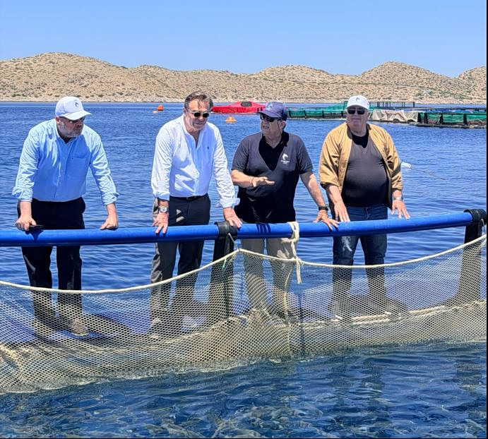 Σχοινάς