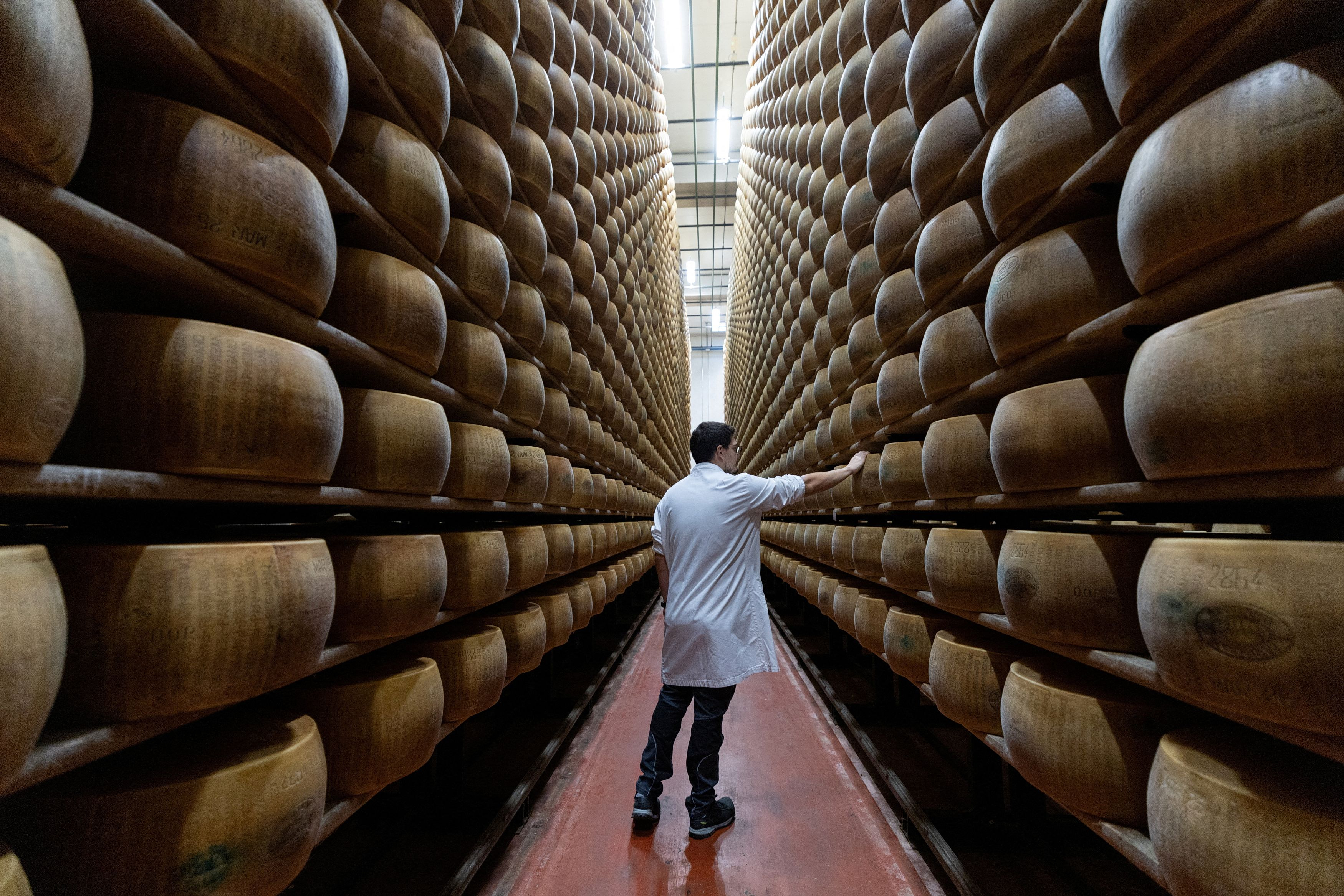 Extreme Heat Puts Italy’s Parmigiano Reggiano at Risk