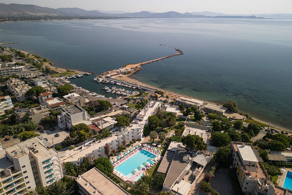 Brown Hotels
