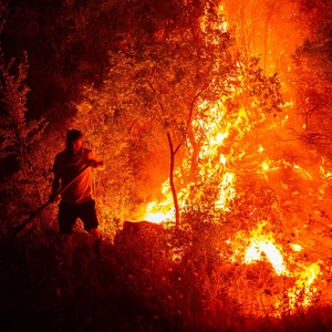 Καύσωνες: Πόσο κοστίζουν στην Ευρώπη