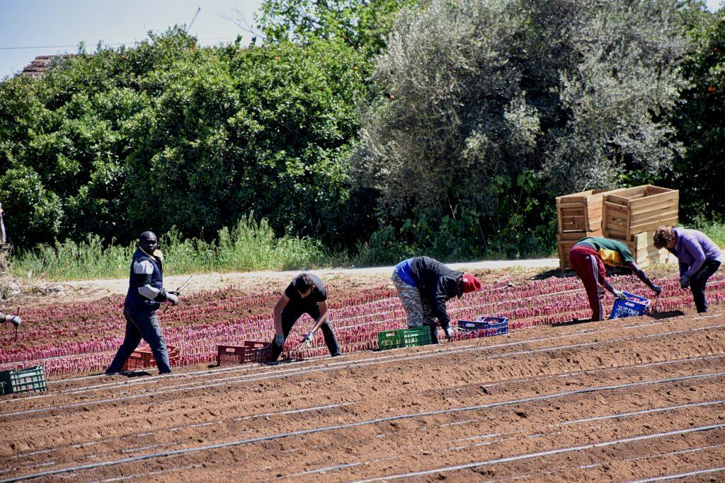 Ξένοι εργάτες: Κριτήρια και προϋποθέσεις μετάκλησης από τις Εταιρείες Προσωρινής Απασχόλησης