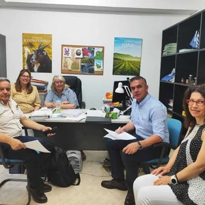 Θεσσαλία: Με προβλήματα το ελαιοκομικό και αμπελουργικό μητρώο