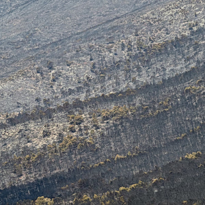 ΥΠΕΝ: Πριν τις 15 Σεπτεμβρίου θα ξεκινήσουν τα πρώτα αντιπλημμυρικά έργα ύψους 1,5 εκατ. ευρώ