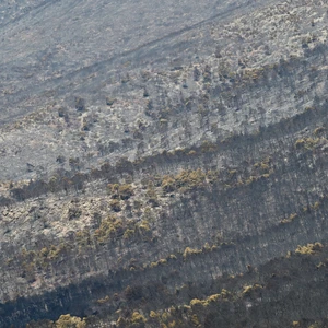 Φωτιές: Γιατί κάηκε η Δυτική Αττική και όχι η Ανατολική