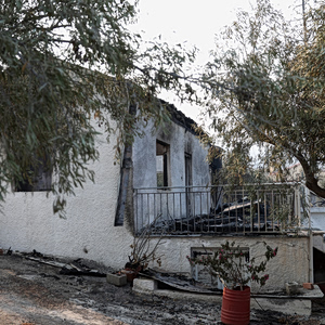 Φωτιές: Πώς θα δοθεί η επιδότηση για τους πληγένετες