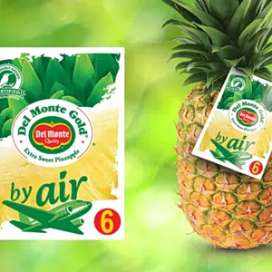 Del Monte: Πτώση τζίρου και κερδών το 2025 – Τρέχει επενδυτικό σχέδιο για εκσυγχρονισμό της παραγωγής