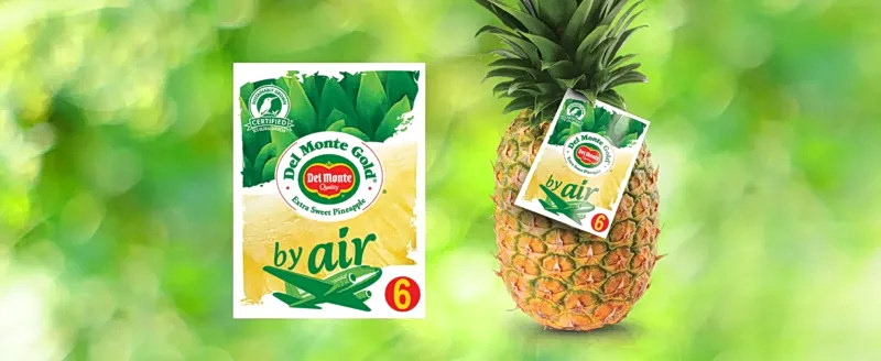 Del Monte: Πτώση τζίρου και κερδών το 2025 – Τρέχει επενδυτικό σχέδιο για εκσυγχρονισμό της παραγωγής