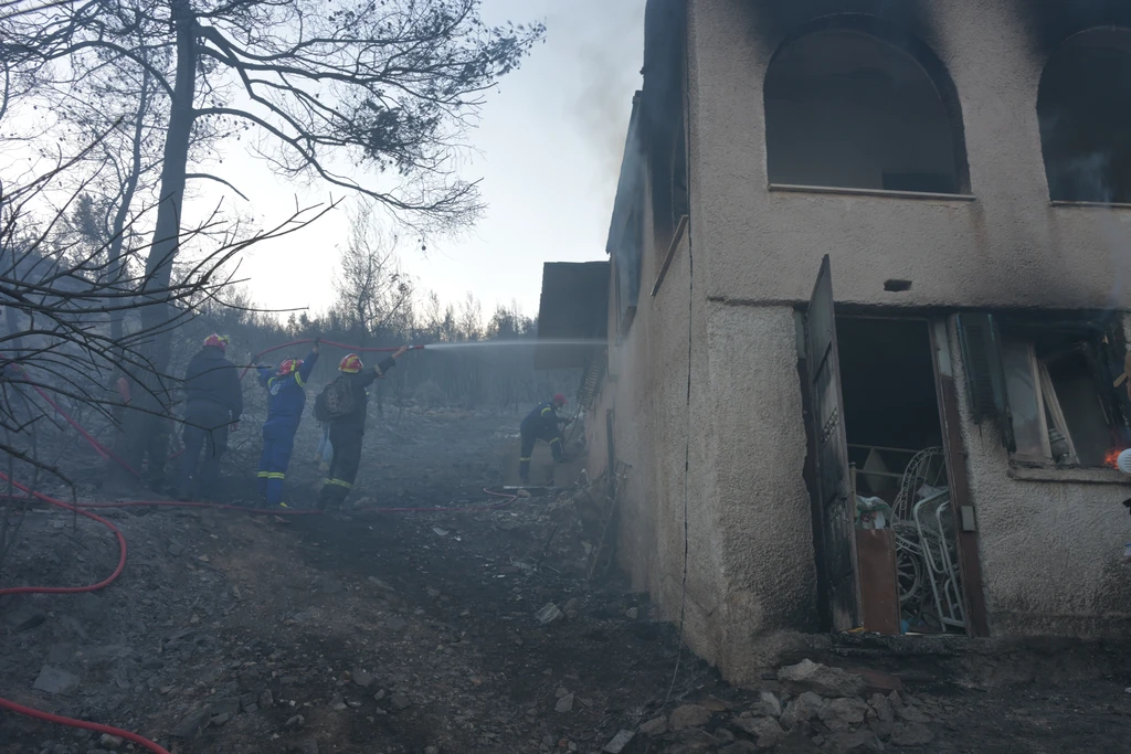 Σαλαμίνα: Ξεκινούν οι αυτοψίες για την καταγραφή των ζημιών από τις πυρκαγιές