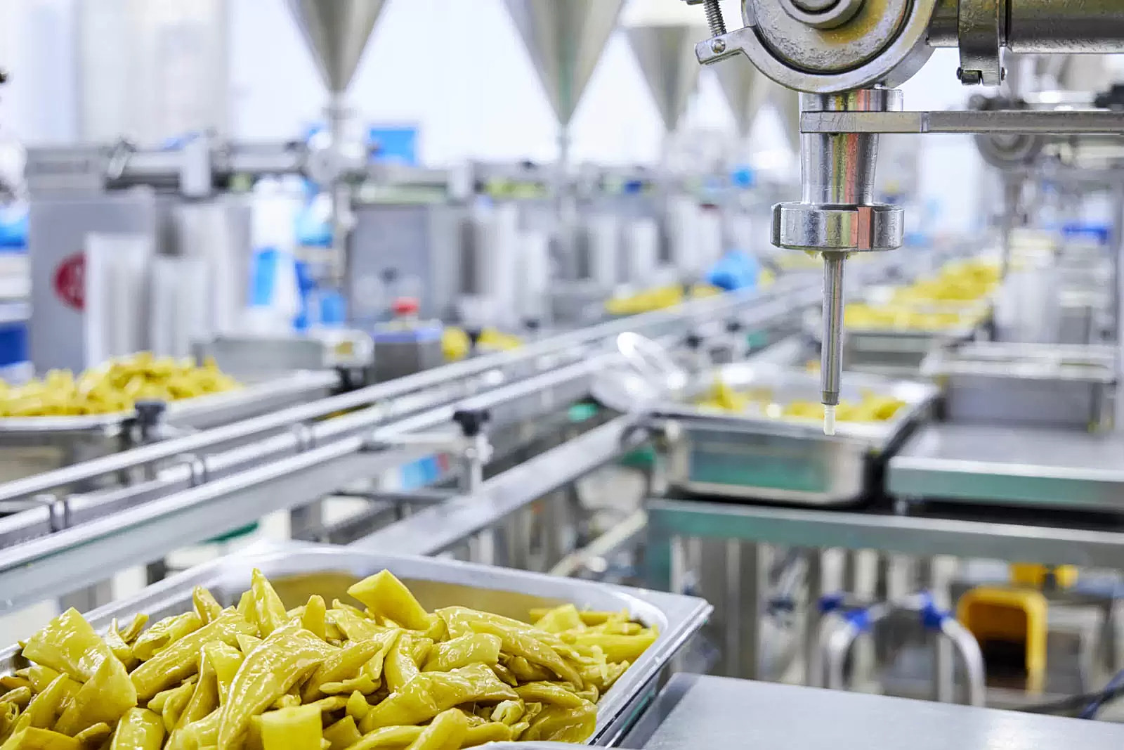 ARI Foods: «Σπριντ» τζίρου και επενδύσεων το 2025 – Νέοι κωδικοί και μείωση εξόδων στα σκαριά