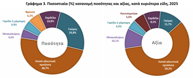 αλιεία
