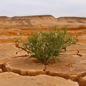 «El Nino»: Η νέα απειλή για τον πληθωρισμό