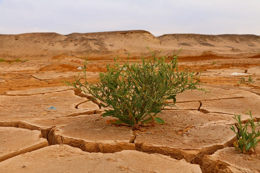 «El Nino»: Η νέα απειλή για τον πληθωρισμό