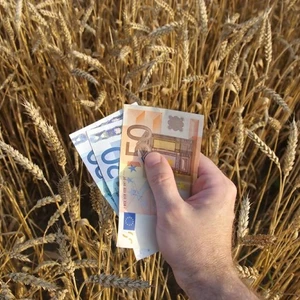ΑΑΔΕ: Άνοιξε η εφαρμογή Transpay